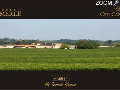 picture of DOMAINE DE CANTEMERLE & Chateau Cru Cantemerle