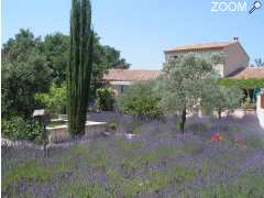 foto di Maison d'hôtes de charme"Le clos des lavandes"