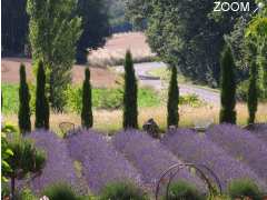 Foto Les jardins du Coq