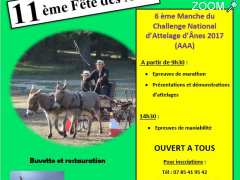 Foto FETE DES ANES