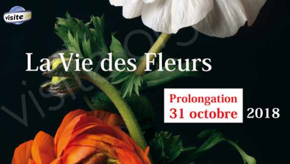 Fermer la fenêtre