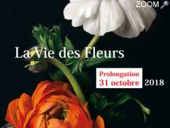 photo de EXPOSITION : La Vie des Fleurs