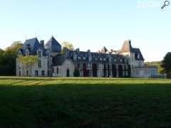 foto di Château de la Mothe en Poitou