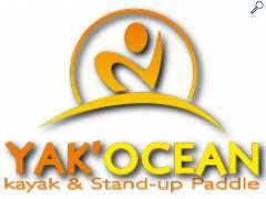 Foto Yak Ocean