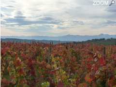 picture of Syndicat mixte du tourisme Lembeye-Garlin (Le Vic-Bilh)