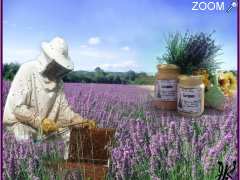 photo de le grenier aux abeilles