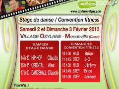 photo de STAGE DE DANSE – VILLAGE OXYLANE MONDEVILLE-CAEN, 02 FEVRIER 2013