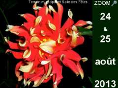 фотография de SALON DU JARDINAGE Plantes et Artisanat