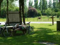 Foto Pôle Nature du Marais Poitevin