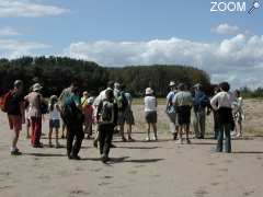 picture of Sortie Nature : îles de sable et leurs plantes originales !