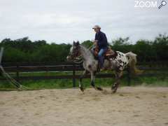 picture of Equitation western et camping dans un Ranch