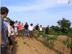 photo de Balades Vigneronnes du Haut-Minervois