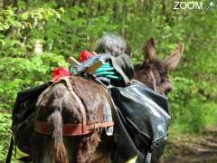 photo de Balades & Randonnées avec des ânes de portage