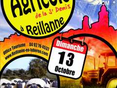 photo de FOIRE AGRICOLE ST DENIS