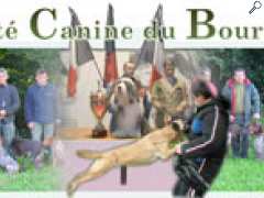 photo de Exposition Canine Internationale