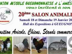 picture of Salon animalier