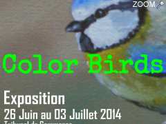 Foto color birds