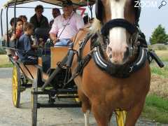 Foto Les Baladins vers le port du Collet : 9, 10, 16, 17,23, 24, 30 et 31 juillet / 6, 7, 13, 14, 20, 21, 27 et 28 août