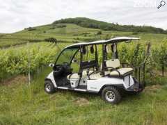 photo de Balade dans les vignes en voiture électrique avec chauffeur - Domaine Pierre Adam