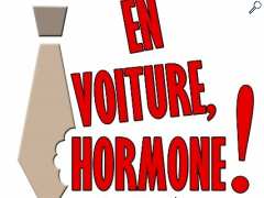 picture of EN VOITURE HORMONE