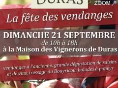 Foto Fête des Vendanges de Duras