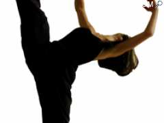 picture of Stage de Danse Week-end  22 et  23  novembre 2014