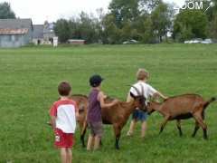 photo de ATELIERS DECOUVERTE - LA MAGIE DES NAISSANCES DES CHEVREAUX