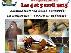 Foto EXPOSITION D'AVICULTURE (Les Animaux de la Basse-Cour)