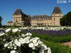 picture of Château de Drée 