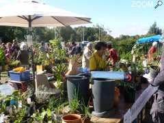 picture of Vide-jardin à Tournefeuille