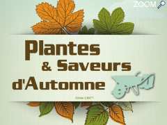 foto di Plantes et Saveurs d'Automne