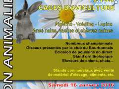 photo de Salon Animalier 