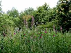 photo de Arboretum du Chêne-Vert