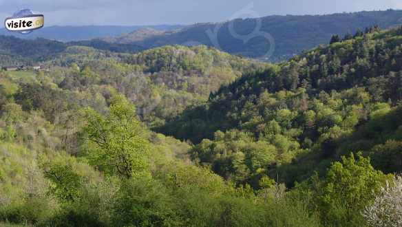 Fermer la fenêtre