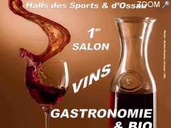 photo de 1er SALON VINS GASTRONOMIE & BIO de SOUMOULOU (64)