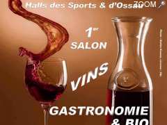 foto di 1er SALON VINS GASTRONOMIE & BIO de SOUMOULOU (64)