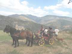 photo de Promenades en calèche 