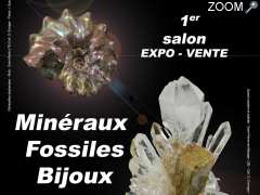 Foto 1er SALON MINERAUX FOSSILES BIJOUX de BERGERAC (24)