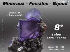 picture of 8e SALON MINERAUX FOSSILES BIJOUX de SOUMOULOU (64)