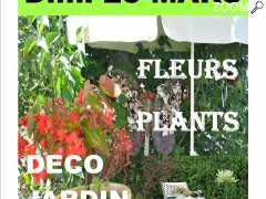 фотография de marche aux fleurs plants deco jardin