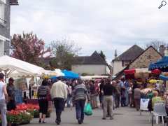 picture of FOIRE AUX PLANTS ET VIDE GRNIER