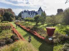 photo de Fête d'Automne