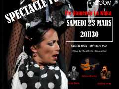 picture of Tablao/Spectacle Cie flamenca "La kuka"