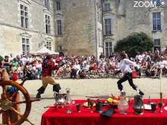 picture of Festival Chevaliers et Mousquetaires au Château de Vayres