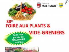 Foto Foire aux plants et vide grenier