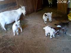 foto di Jardin animalier de Mialet