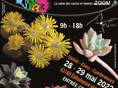 picture of Couleurs Cactus Club Salon des cactus, succulentes et plantes adaptées à la sécheresse les 28 et 29 mai 2022